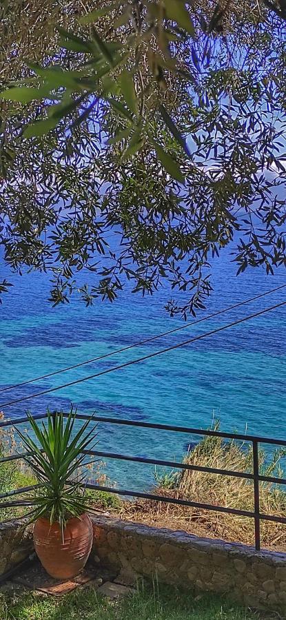 Villa Fourtuna Apartment Агиос-Иоаннис-Перист Экстерьер фото