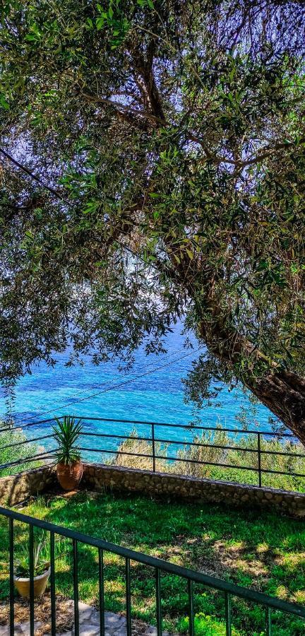 Villa Fourtuna Apartment Агиос-Иоаннис-Перист Экстерьер фото
