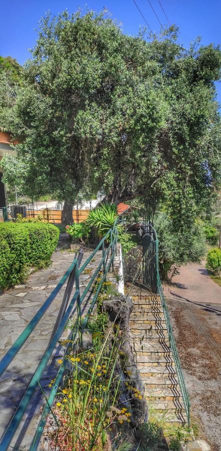 Villa Fourtuna Apartment Агиос-Иоаннис-Перист Экстерьер фото